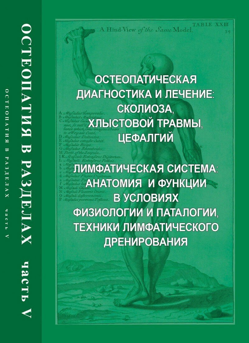 Егорова И. А. "Остеопатия в разделах. Ч.5. Остеопатическая диагностика и лечение сколиоза, хлыстовой травмы, цефалгий. Лимфатическая система."