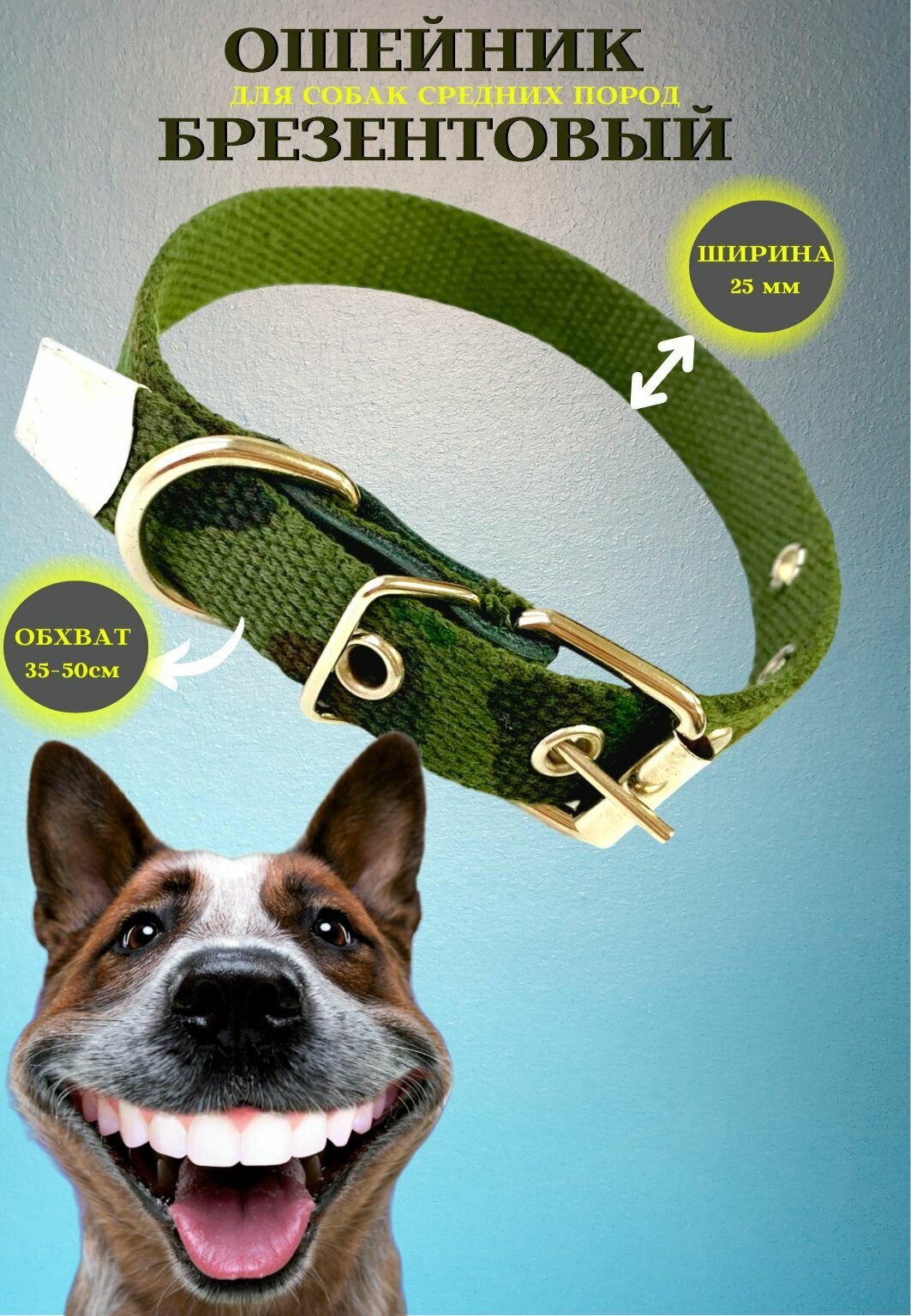 фото Ошейник для собак брезентовый 25 мм хаки однослойный