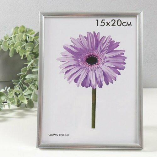 SUI Фоторамка пластик Lida 15х20 см серебро 506₽