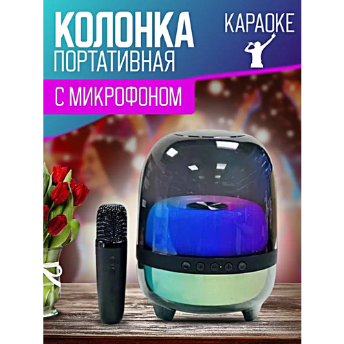 Беспроводная Bluetooth колонка N29 с микрофоном караоке LED-подсветкой и 4000 mAh батареей Черная и портативная Pricemin 363000₽
