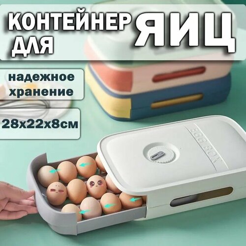 Контейнер для хранения яиц 