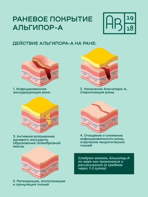 Альгипор-А покрытие на раны, ожоги, язвы 60х100х10, упаковка 10 шт. АВ1918 - фото №9