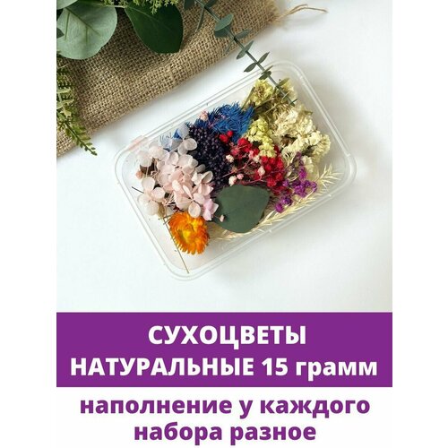 Сухоцветы мини для изготовления украшений, для эпоксидной смолы, набор микс, 1 коробка