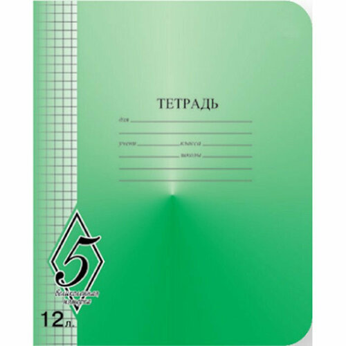 Тетрадь 24 листа клетка (КФОБ) Великолепная пятерка арт TW 524 O0 V5 5. Количество в наборе 20 шт.