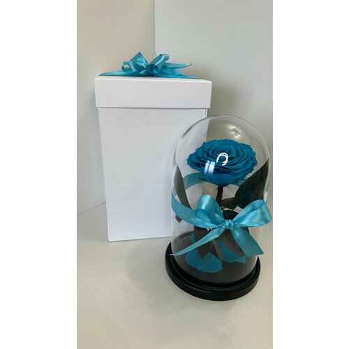 Роза в колбе 