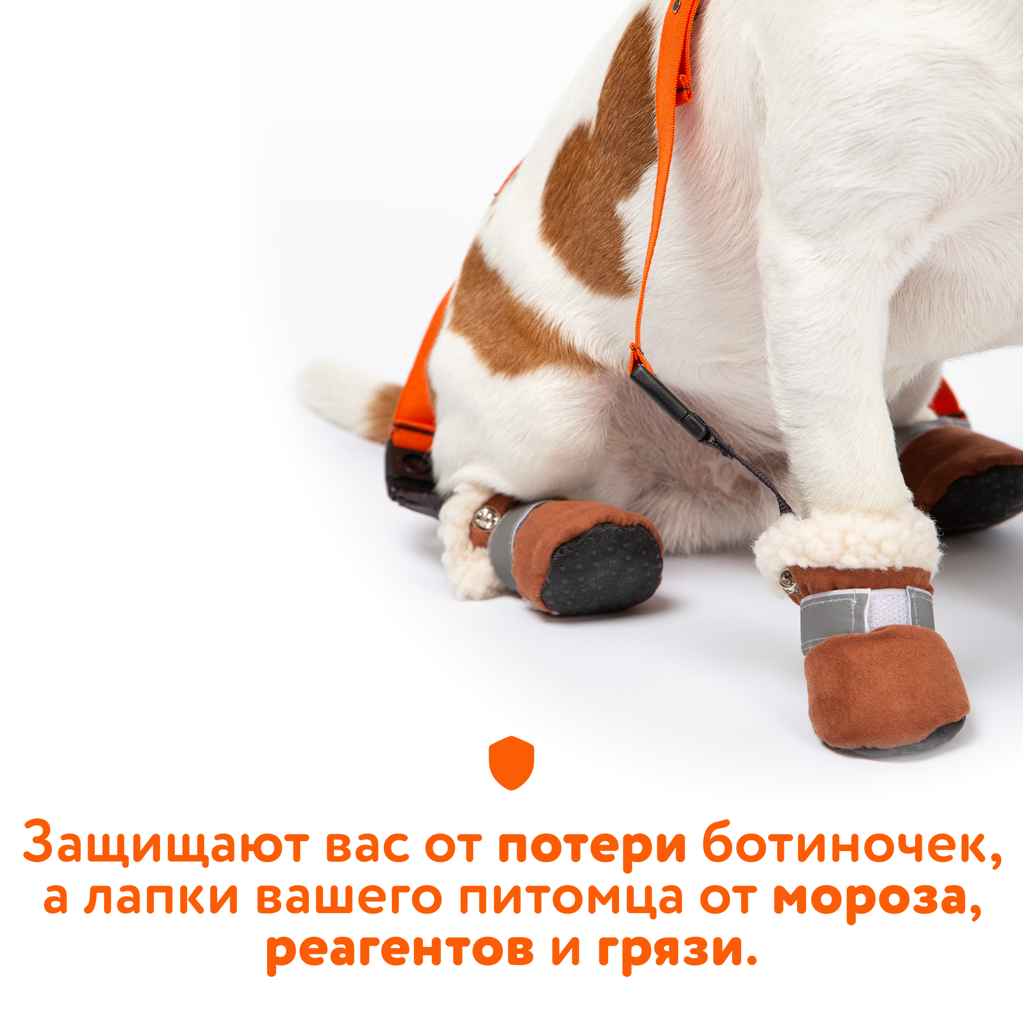 Подтяжки для собак для ботиночек и носочков размер S - фотография № 2