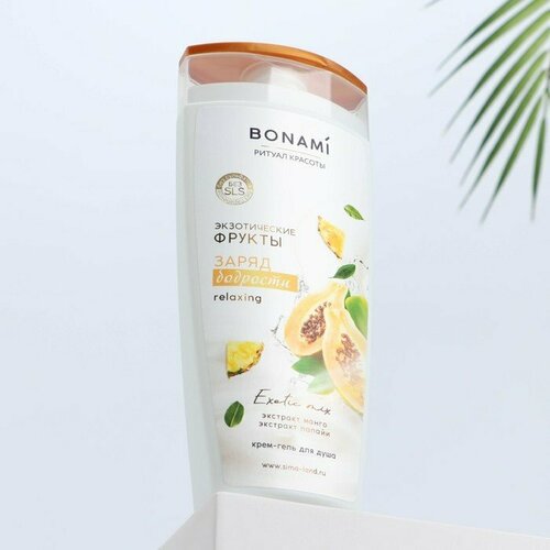 Гель для душа, заряд бодрости, 250 мл, аромат экзотических фруктов, BONAMI (комплект из 10 шт)