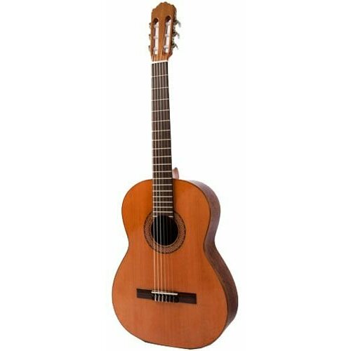 Classical guitar Raimundo 104B Cedar - Гитара для начинающих серии Estudio. Корпус из бубинги, верхняя дека из кедра.