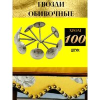 Гвозди обивочные 100шт