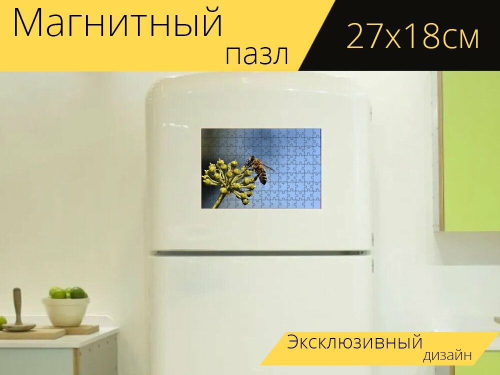 Магнитный пазл "Пчела, насекомое, энтомология" на холодильник 27 x 18 см.