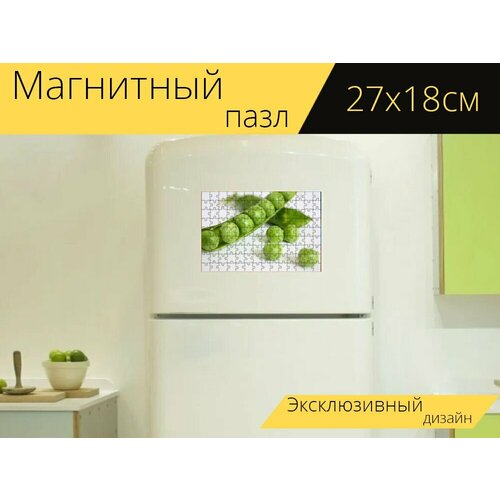 Магнитный пазл Горох, овощ, здоровый на холодильник 27 x 18 см. магнитный пазл картошка тарелка овощ на холодильник 27 x 18 см