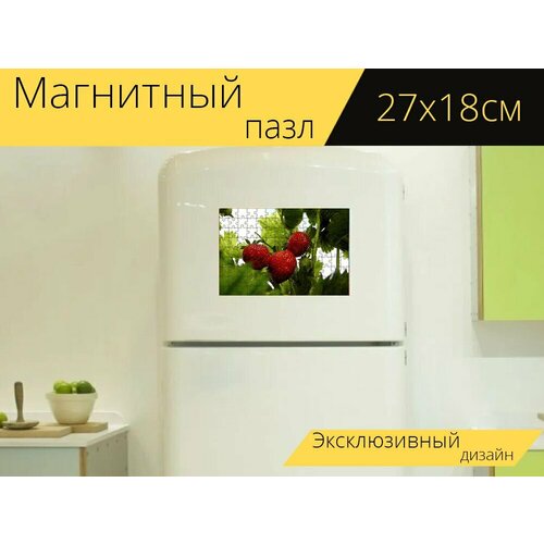 Магнитный пазл Клубника, ягода, фрукты на холодильник 27 x 18 см.