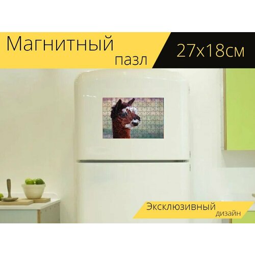 Магнитный пазл Альпака, животное, голова на холодильник 27 x 18 см. магнитный пазл альпака зоопарк животное на холодильник 27 x 18 см