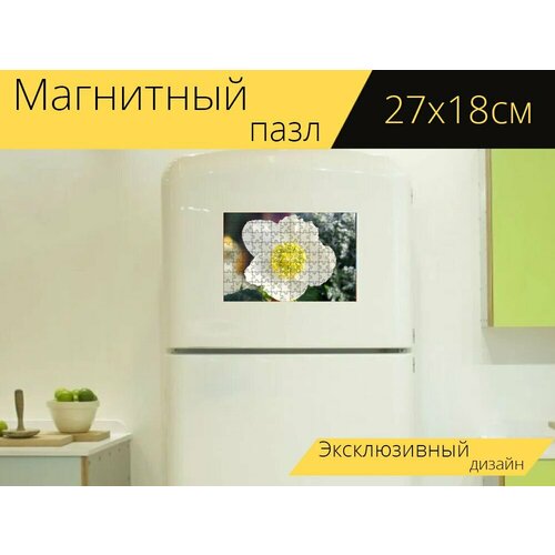 Магнитный пазл Цветок, лепестки, бутон на холодильник 27 x 18 см. магнитный пазл подсолнечник бутон лепестки на холодильник 27 x 18 см