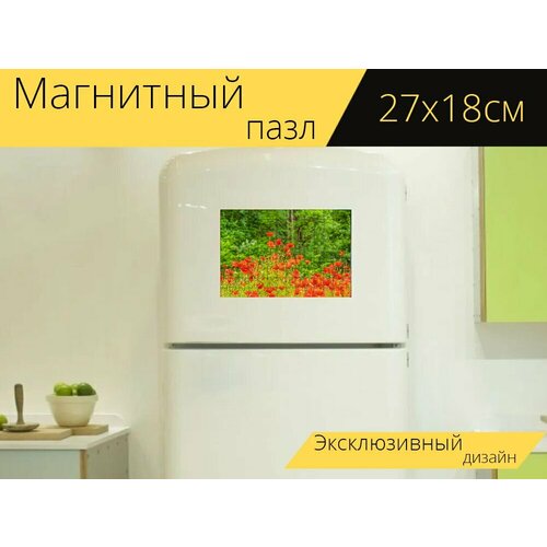 Магнитный пазл Луг, мак, маки на холодильник 27 x 18 см. магнитный пазл маки цветы мак на холодильник 27 x 18 см