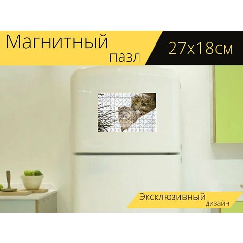 Магнитный пазл Снежный барс, леопард, большой кот на холодильник 27 x 18 см. магнитный пазл большой кот леопард кошка на холодильник 27 x 18 см