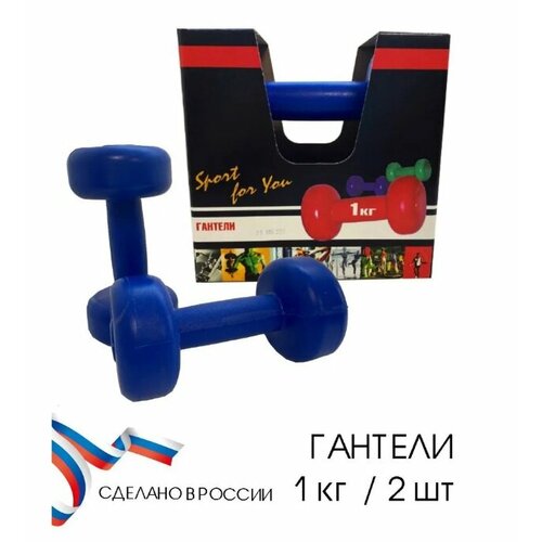 Гантели ВладСпортПром набор из 2-х штук вес каждой 1 килограмм цвет синий 590₽