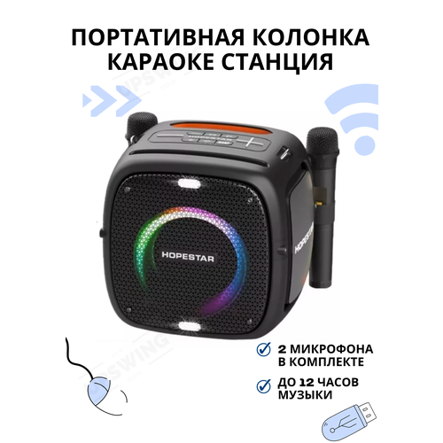 Портативная колонка караоке станция с двумя микрофонами 915800₽