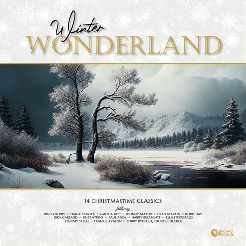 Виниловая пластинка Winter Wonderland - 14 Christmastime Classics (LP) mocsicka christmas backdrop winter snow scene santa claus window photography background children portrait photo studio backdrops