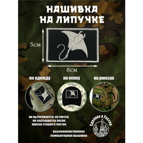 Шеврон Скат