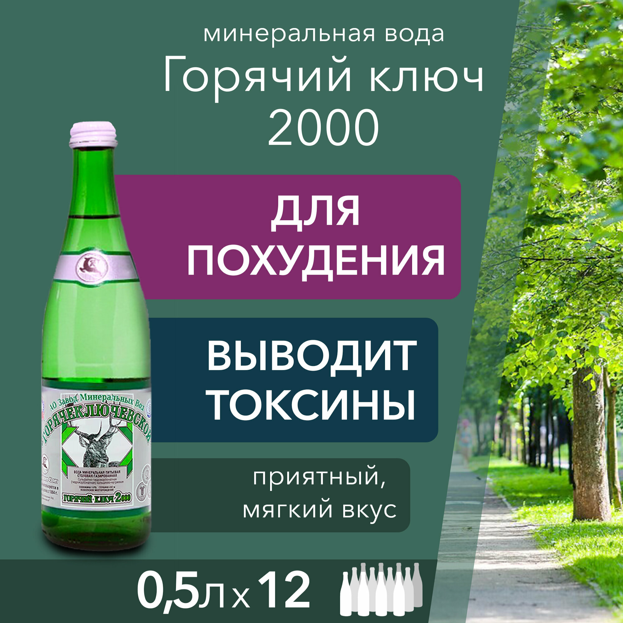 Вода Горячий Ключ 2000. Объем 0,5л*12. В стекле. Вода минеральная газированная природная целебная лечебная, выводит токсины, для детей