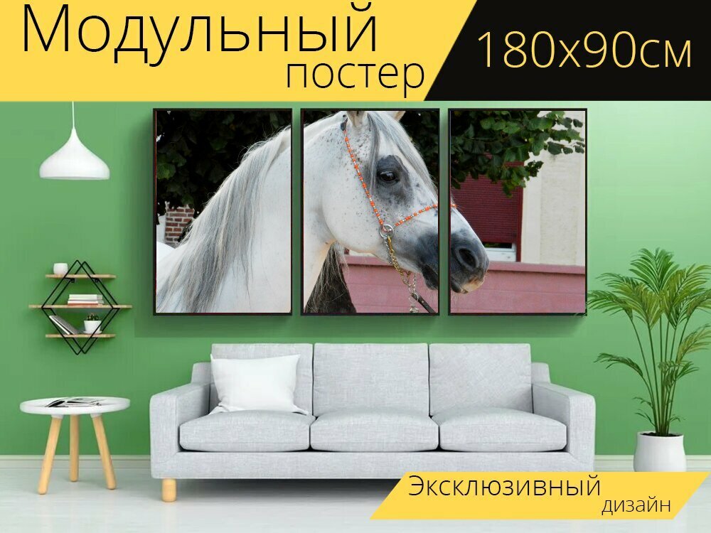 Модульный постер "Лошадь, езда на лошади, конюшня для верховой езды" 180 x 90 см. для интерьера