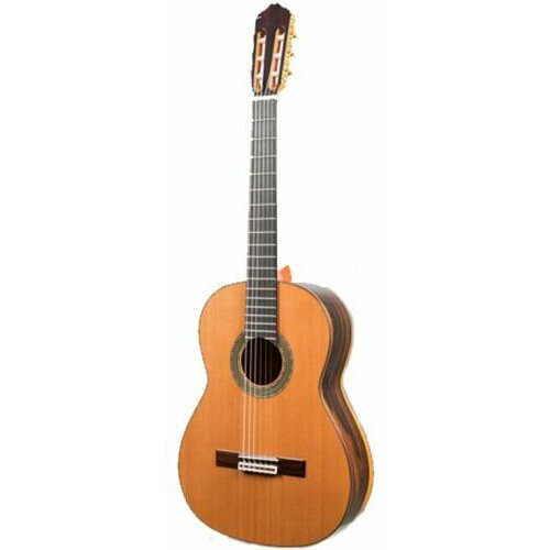 Classical guitar Raimundo 131 Cedar - Spectacular Profesor series guitar for advanced students and amateurs. Laminated Ziricote rosewood body, cedar top.