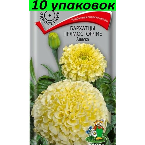 Семена Бархатцы Аляска 10уп по 0,4г (Поиск)