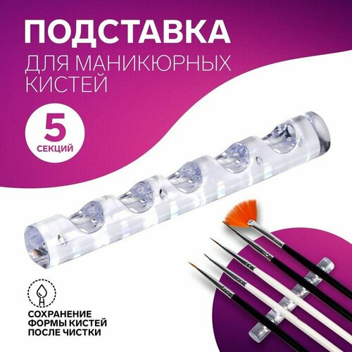 Подставка для маникюрных кистей, 5 секций, 8 × 1 см, цвет прозрачный