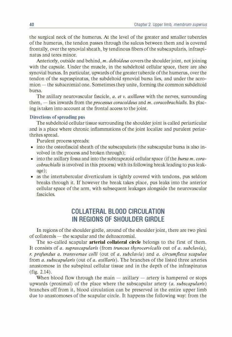 Анатолий Николаев "Topographic Anatomy and Operative Surgery. Textbook" - фото №5