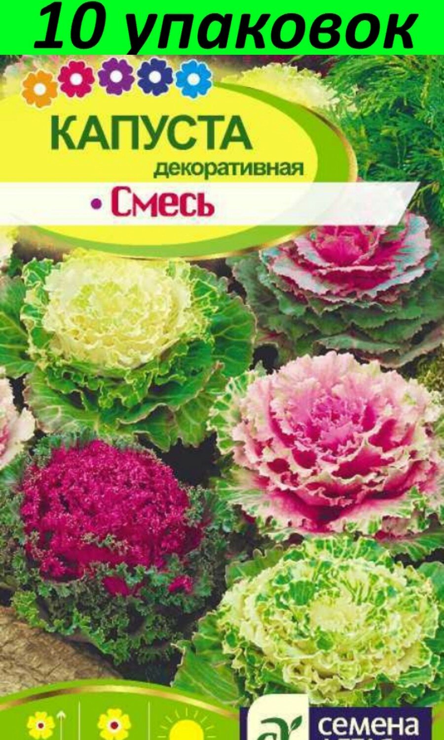 Семена Капуста декоративная Смесь окрасок 10уп по 0,1г (Сем Алт)