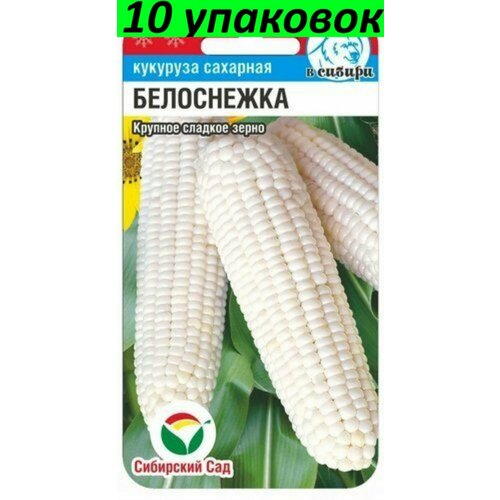 Семена Кукуруза Белоснежка сахарная среднеспелая 10уп по 10шт (Сиб сад)