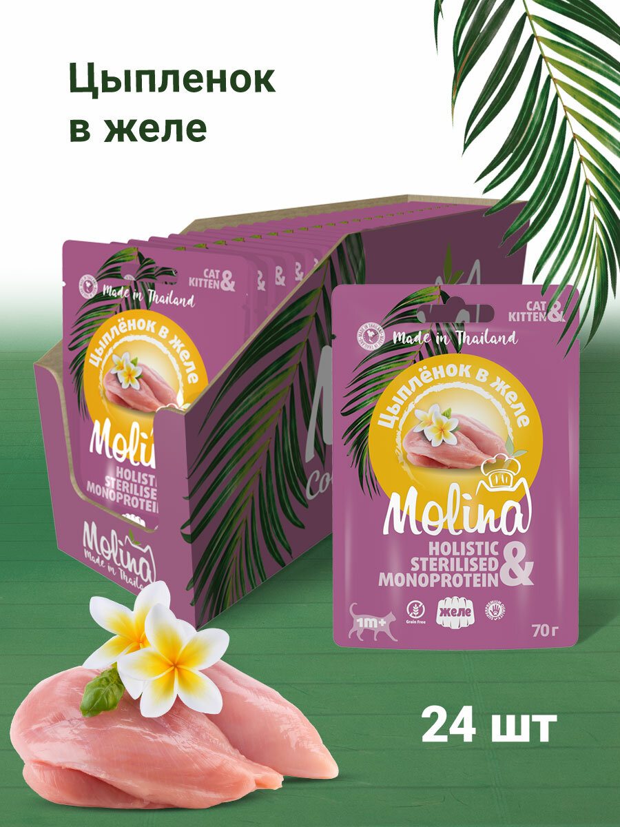 MOLINA, Пауч для котят и кошек, Цыпленок в желе, 70 г, 24 шт