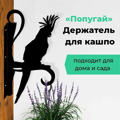 Кашпо кронштейн подвесное -Попугай 950₽