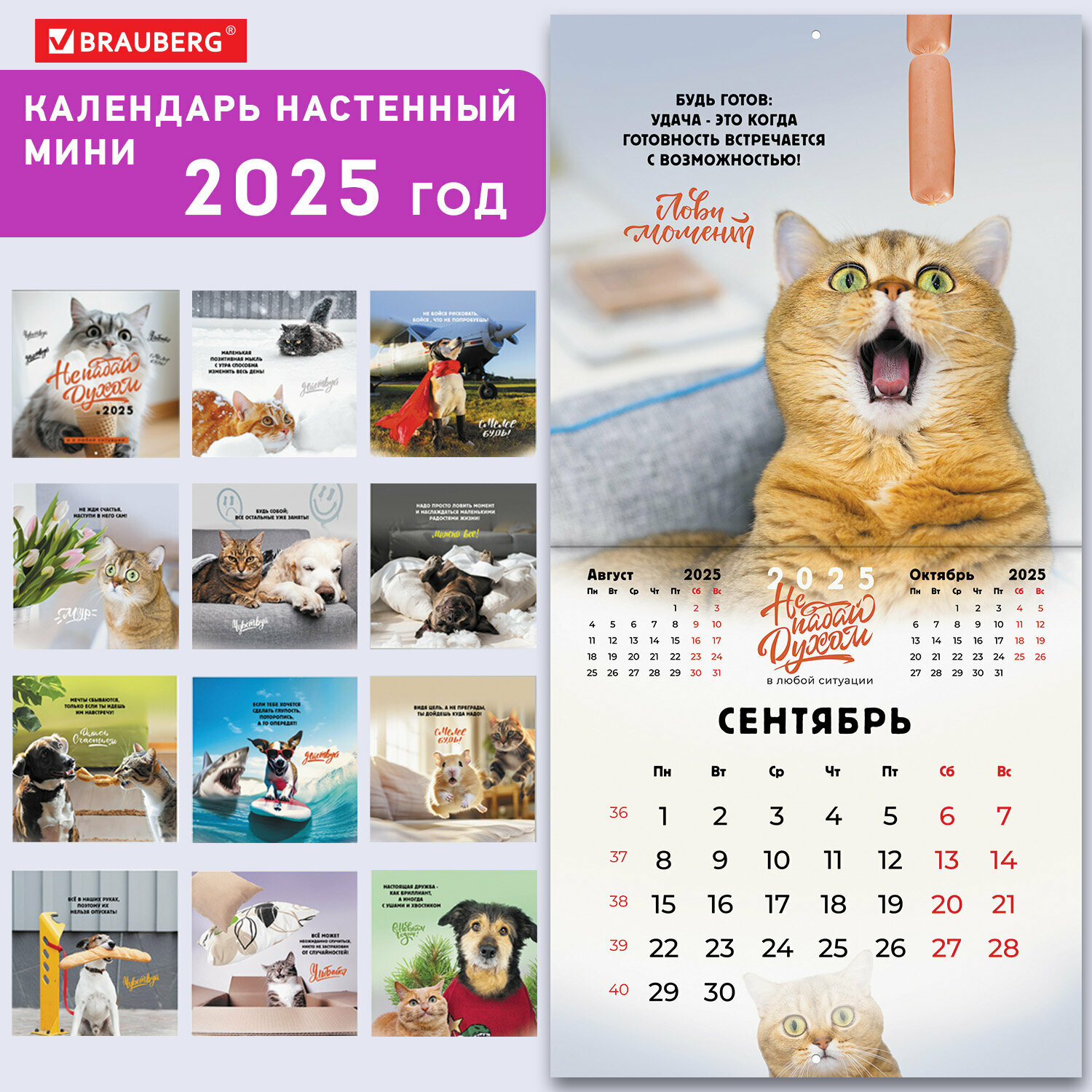 Календарь настенный на 2025 год перекидной, Brauberg, 12 листов, 22,5х22,5см, Мини, Не падай духом, 116178
