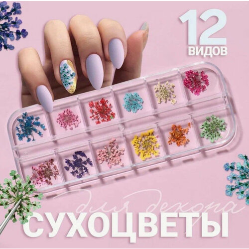 Сухоцветы для ногтей маникюра дизайна, набор аксессуар