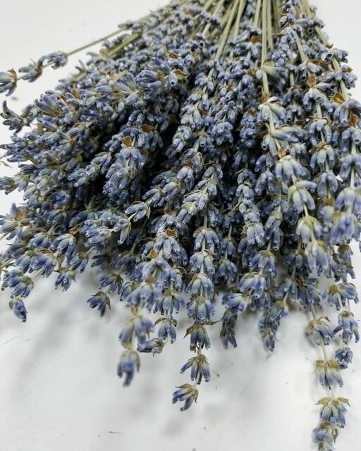 Букет сухоцветов 