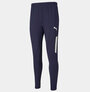 Брюки спортивные PUMA teamLIGA Training Pants Pro Peacoat, размер S, синий, черный