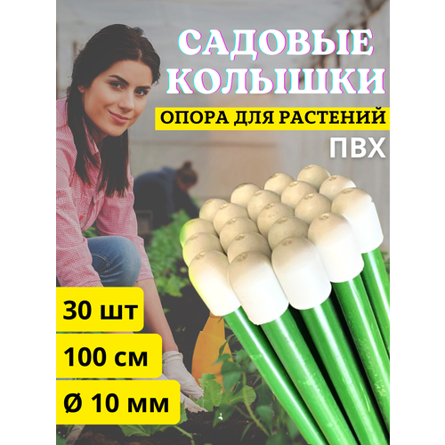 Благодатное земледелие Колышки садовые для подвязки растений ПВХ D10 мм L 1 м, 30 шт кустодержатель садовый кольцо опора для растений держатель садовый для растений и кустов для цветов подпорка для подвязки