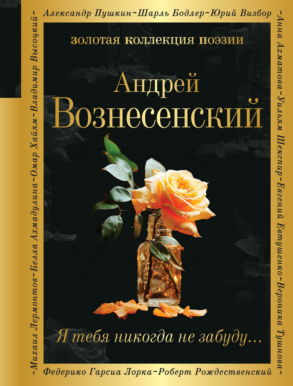 Я тебя никогда не забуду.