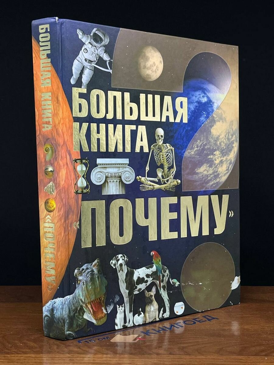 Большая книга Почему 2013