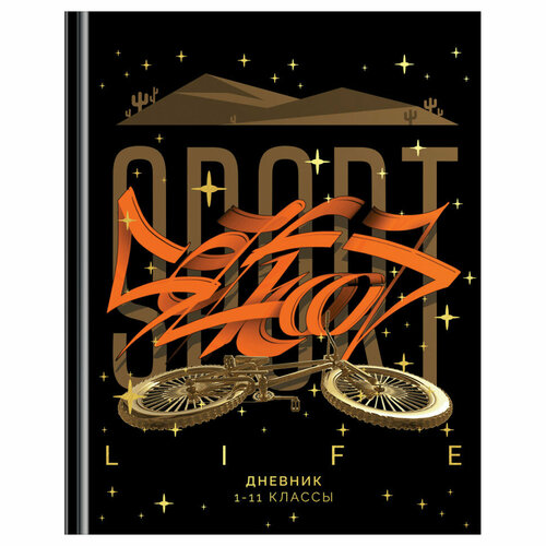 Дневник 1-11 кл. 48л. (твердый) BG 