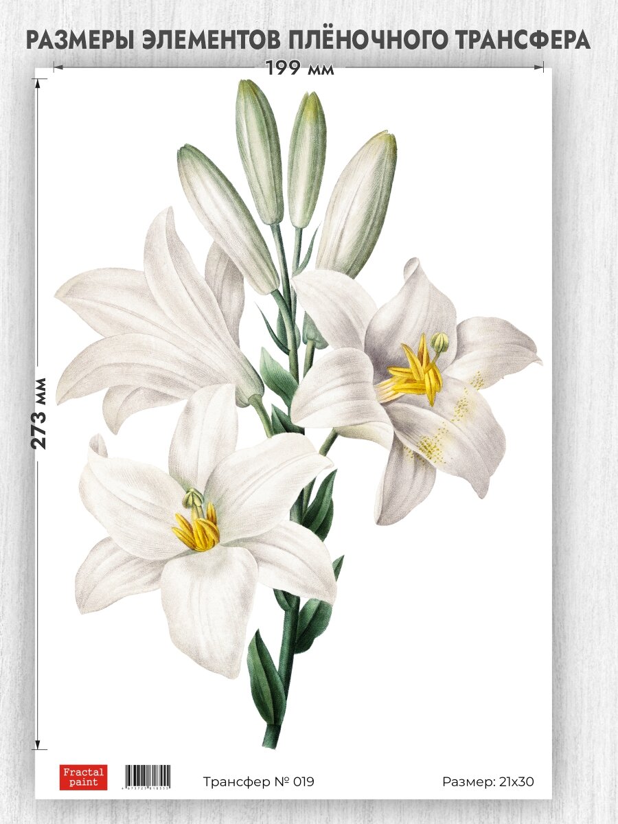 Трансфер для декупажа переводной рисунок для поверхностей 019 (А4)