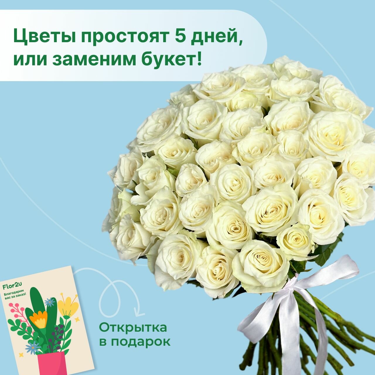 Цветы живые букет из 31 белой розы 40 см с атласной лентой Flor2u