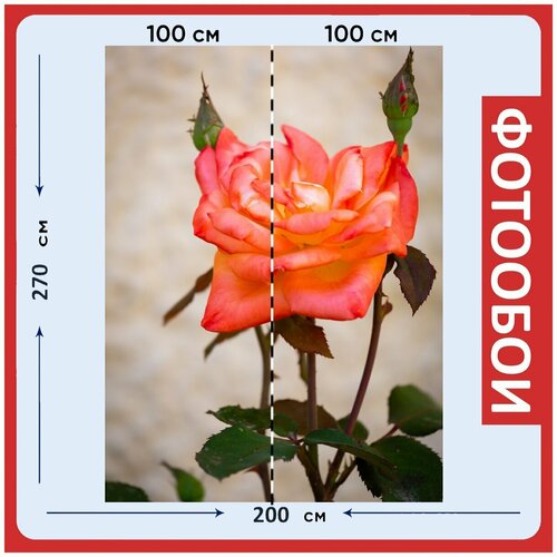 Фотообои Розовый цветок сад 200x270 см флизелиновыена стену 2980₽