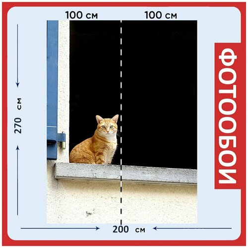 Фотообои Кошки кошачьи бежевый 200x270 см флизелиновыена стену 2980₽