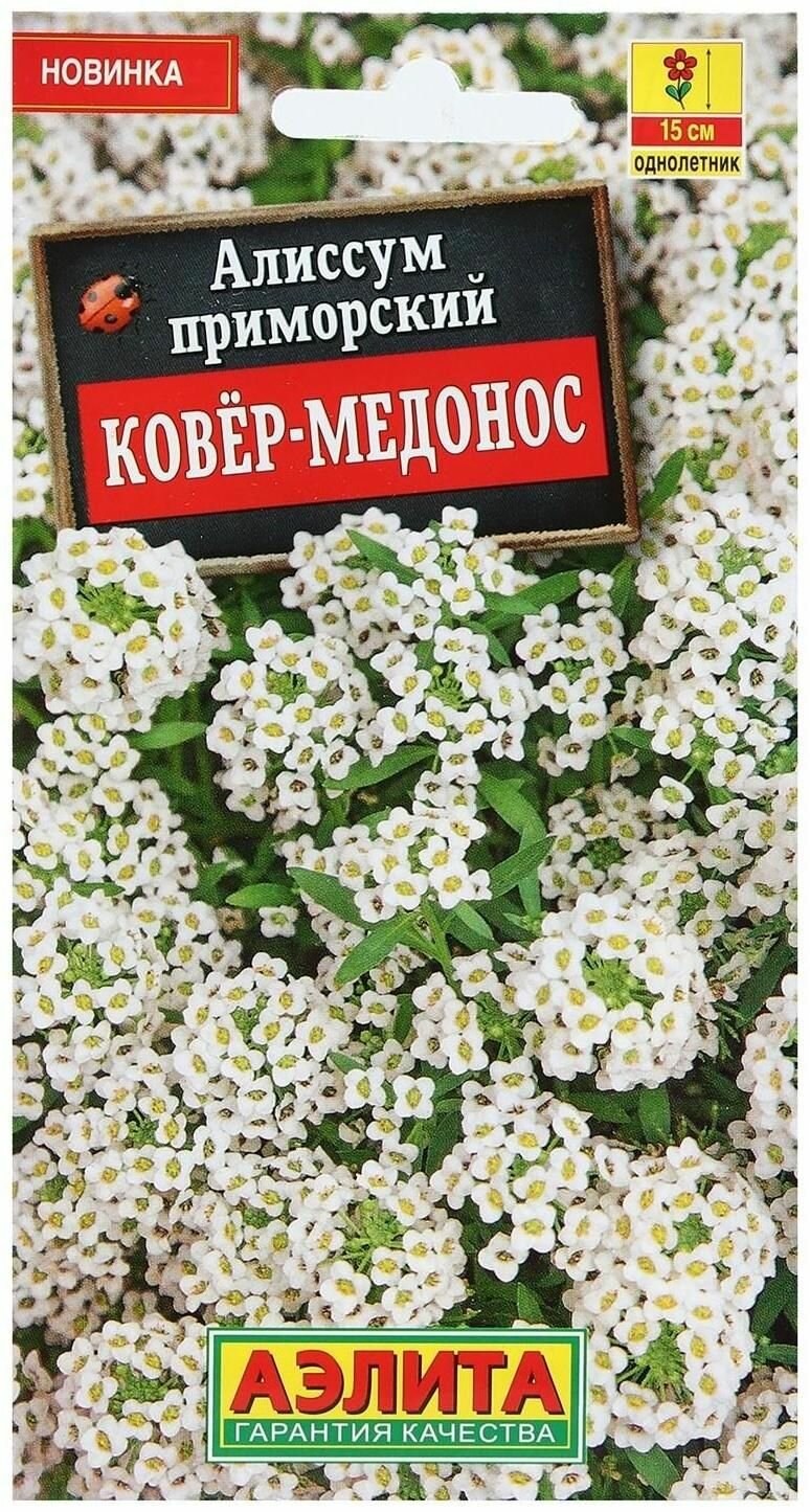 Семена Цветов Алиссум Ковер-медонос 01 г