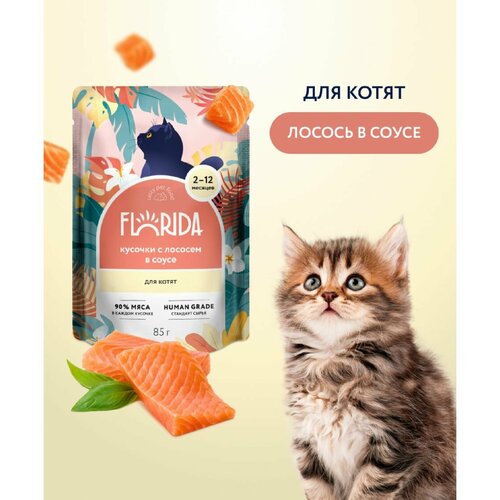 Пауч FLORIDA для котят: кусочки с лососем в соусе 12шт*85г