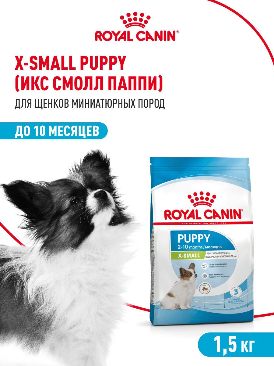 Сухой корм для щенков Royal Canin X-Small Puppy для миниатюрных пород, 1,5 кг — фото 1