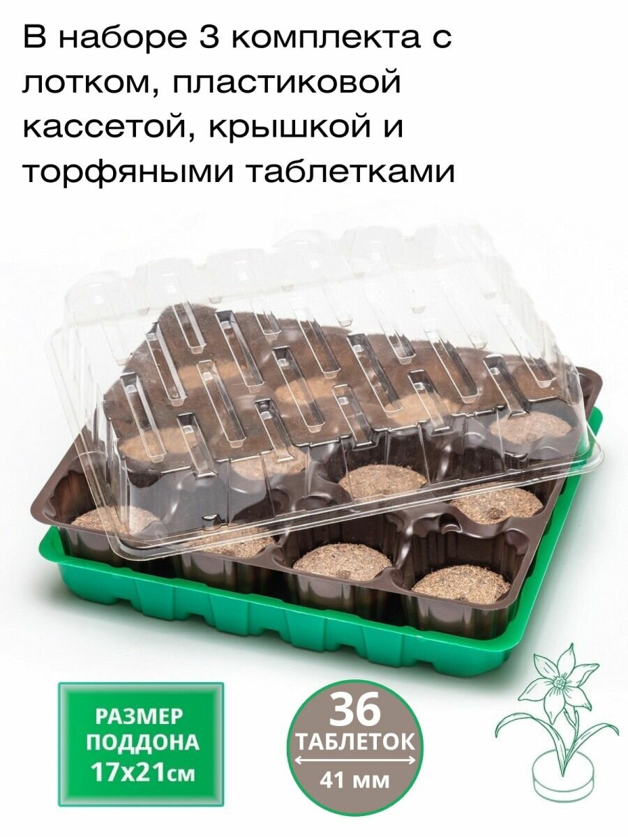 Минипарник для рассады с крышкой, торфяные таблетки 36 шт.